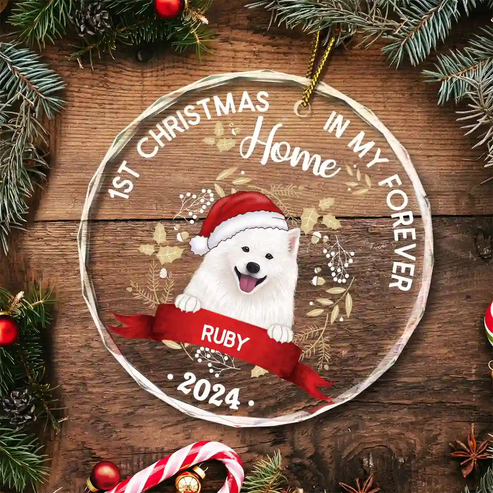 1st Christmas In My Forever Home - Personalized Circle Glass Ornament - Image 5