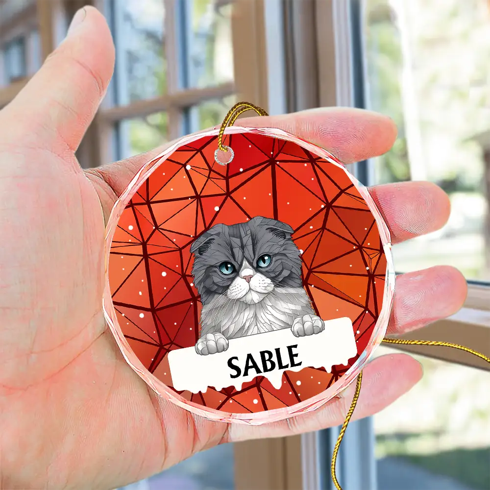 Best Friend For Life Dog Cat Christmas Stained Glass - Personalized Circle Glass Ornament - Image 4