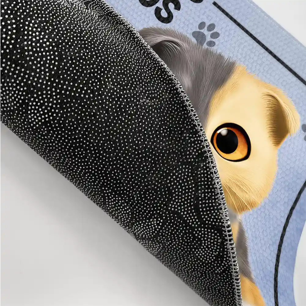 Cat Lovers And Weirdos Welcome - Personalized Doormat - Image 3