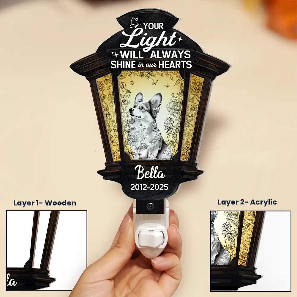 Chinoiserie Toile Dog Your Light Will Always Shine - Personalized Plug-in Night Light - Image 3