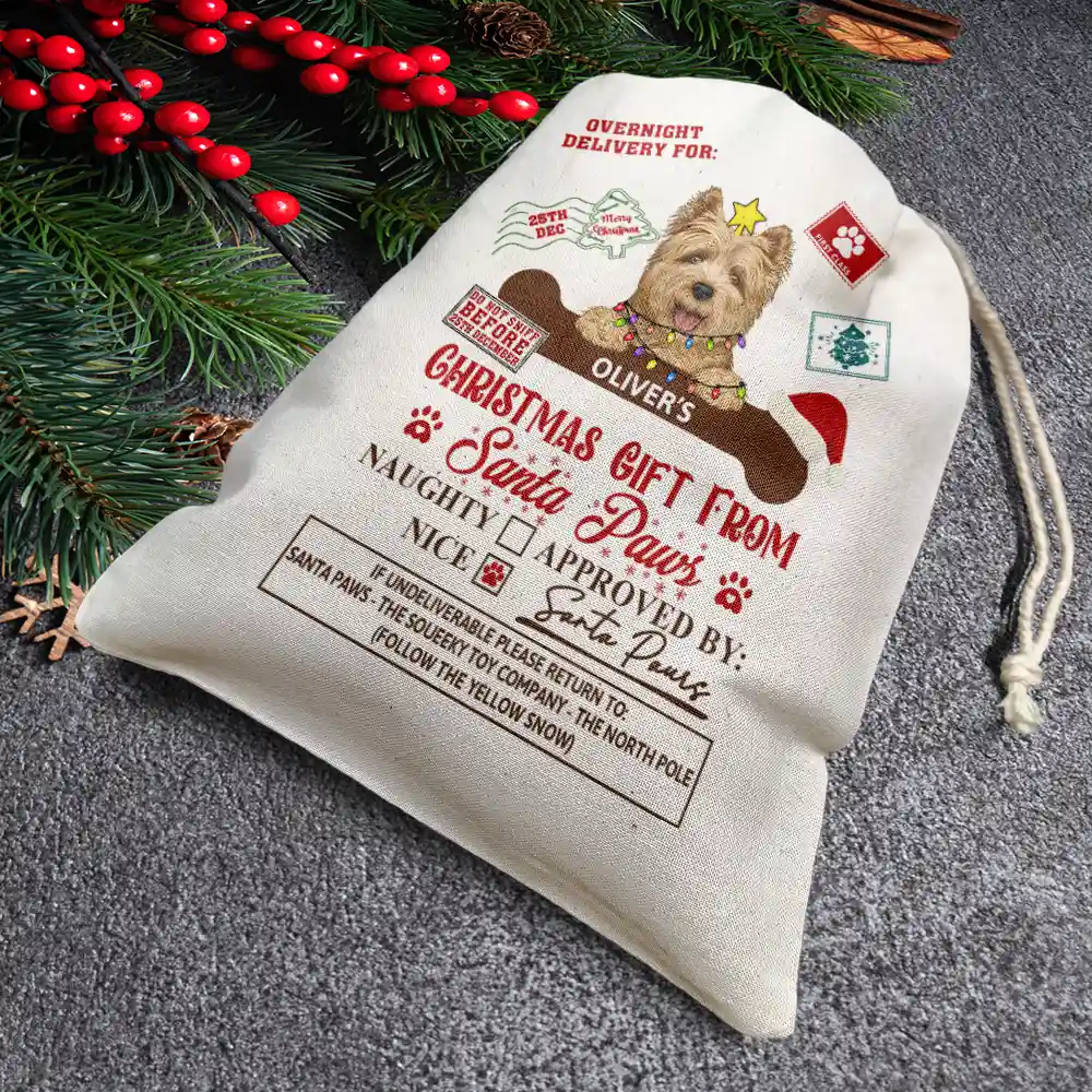 Christmas Gift From Santa Paws - Personalized Favor Bag - Image 4