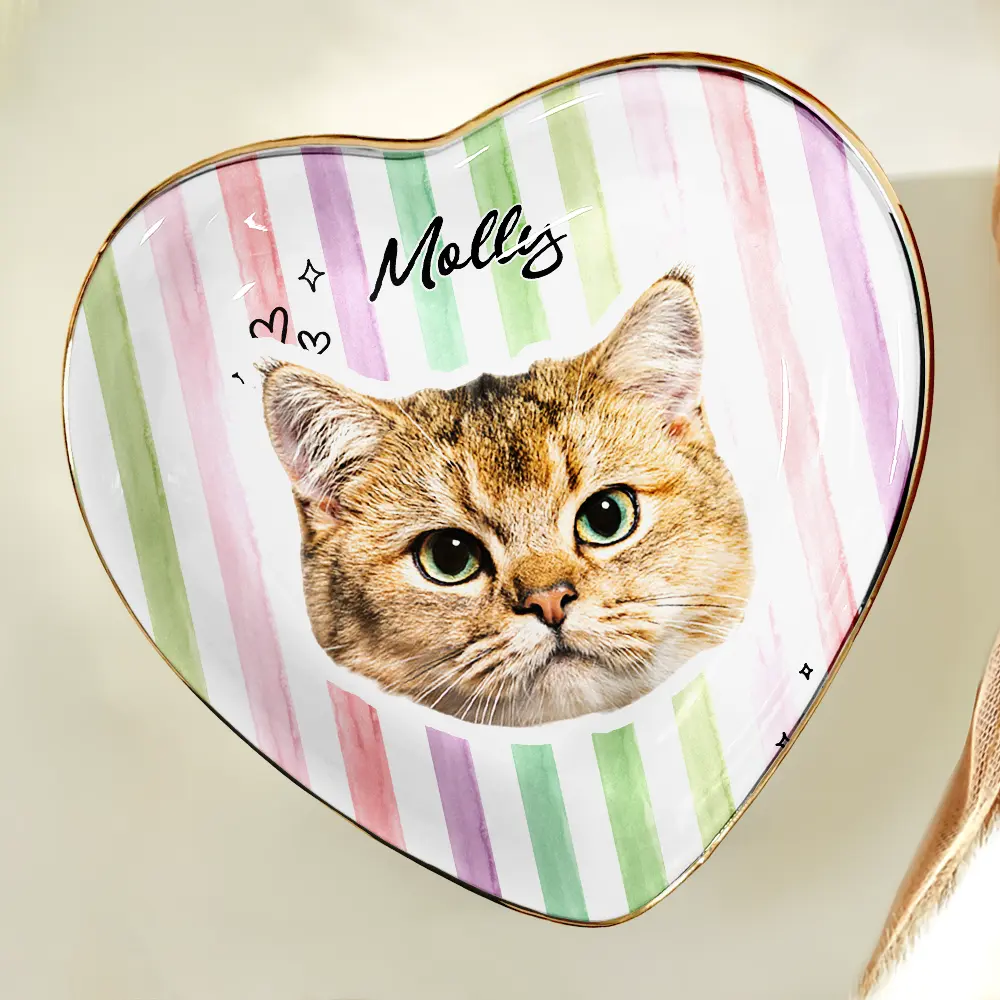 Custom Outline Photo Pet Portrait Stripe Style - Personalized Ring Dish - Image 6