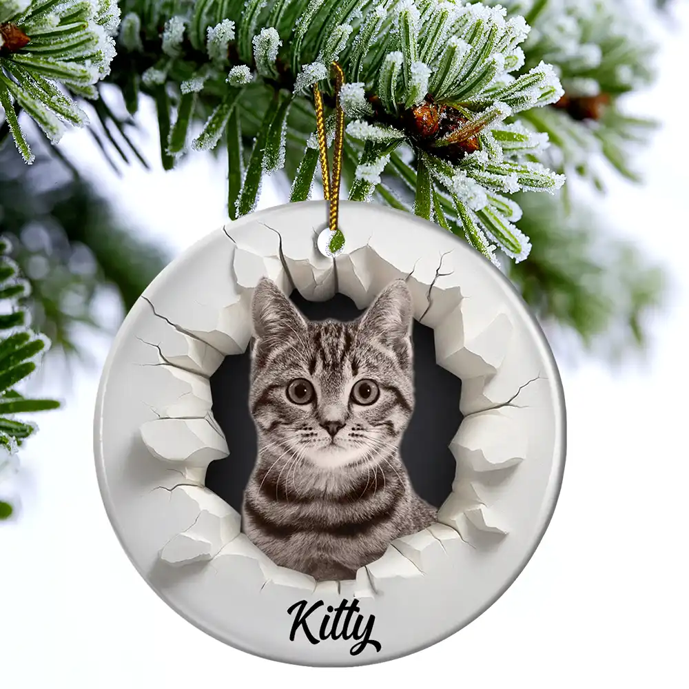 Custom Photo 3D Effect Snow Funny Dog Cat Pet - Personalized Circle Ceramic Ornament - Image 5