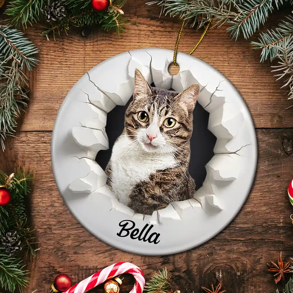 Custom Photo 3D Effect Snow Funny Dog Cat Pet - Personalized Circle Ceramic Ornament - Image 6