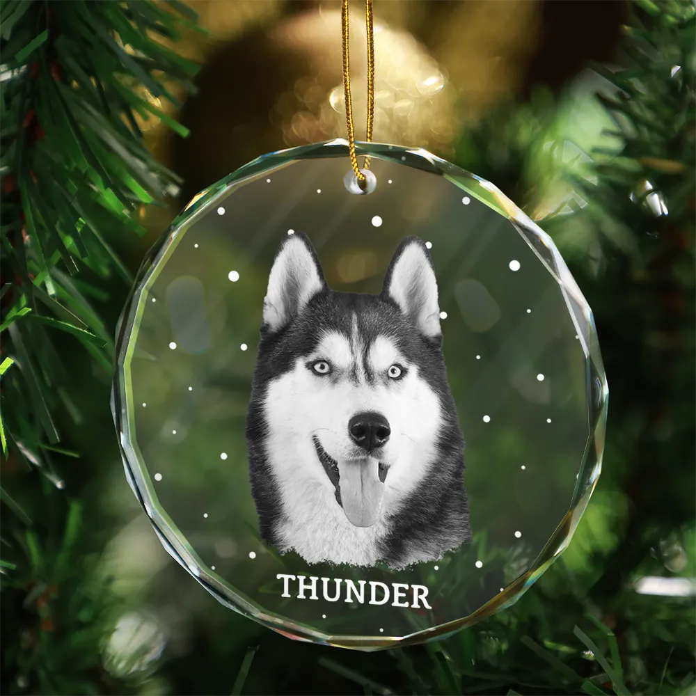Custom Photo B&W Pet Loss Pet Memorial Forever Leaving Pawprints - Personalized Circle Glass Ornament - Image 4