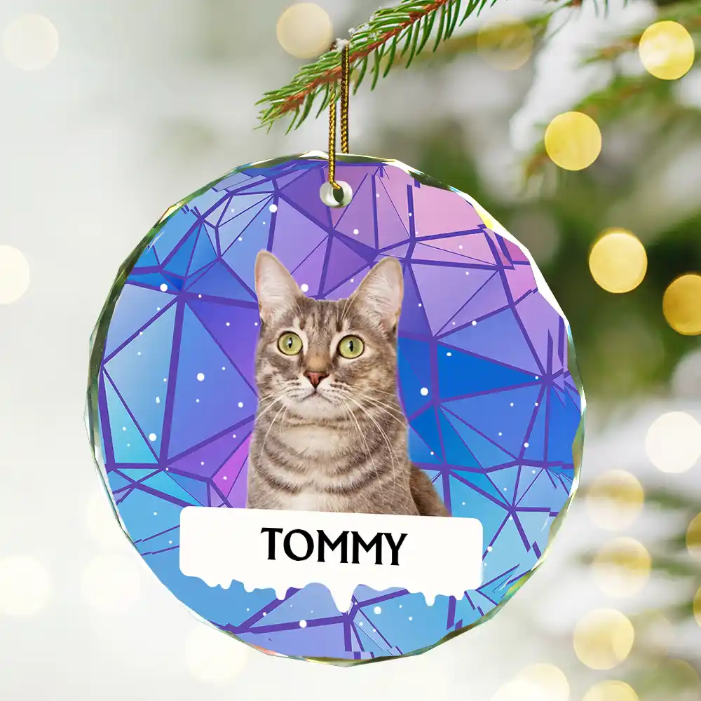 Custom Photo Best Friend For Life Christmas Memorial Dog Cat - Personalized Circle Glass Ornament - Image 3