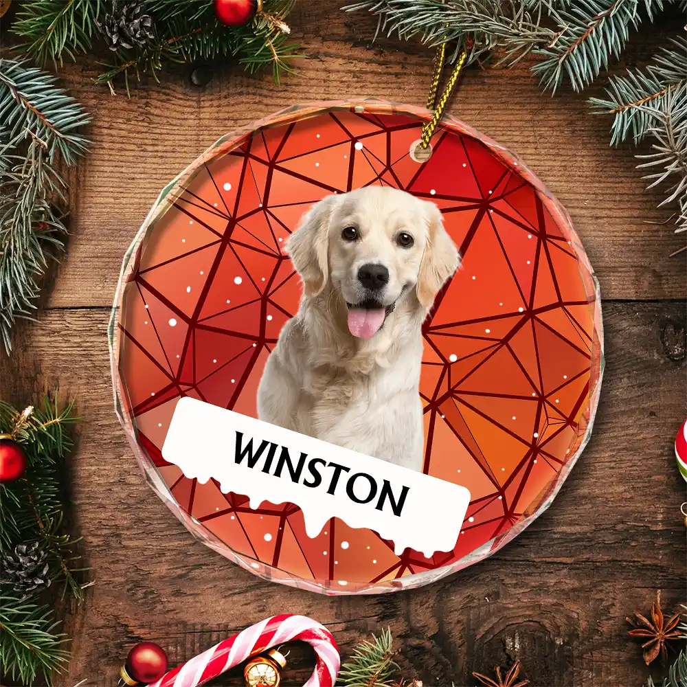Custom Photo Best Friend For Life Christmas Memorial Dog Cat - Personalized Circle Glass Ornament - Image 6