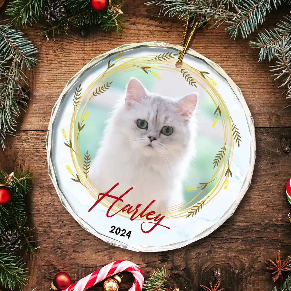 Custom Photo Christmas Pet Memorial Pet First Christmas - Personalized Circle Glass Ornament - Image 5