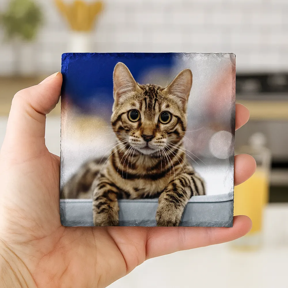 Custom Photo Couple Bestie Family Pet - Personalized Slate Coaster - Image 4