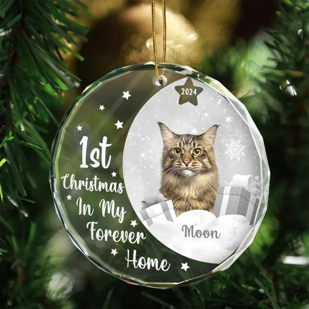 Custom Photo Dog Cat 1st Christmas In My Forever Home - Personalized Circle Glass Ornament - Image 4