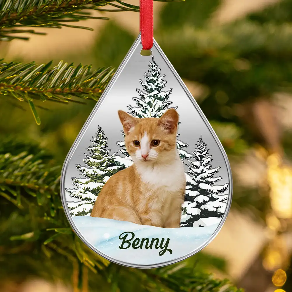 Custom Photo Dog Cat Face Pet Lover Memorial - Personalized Metal Ornament - Image 4