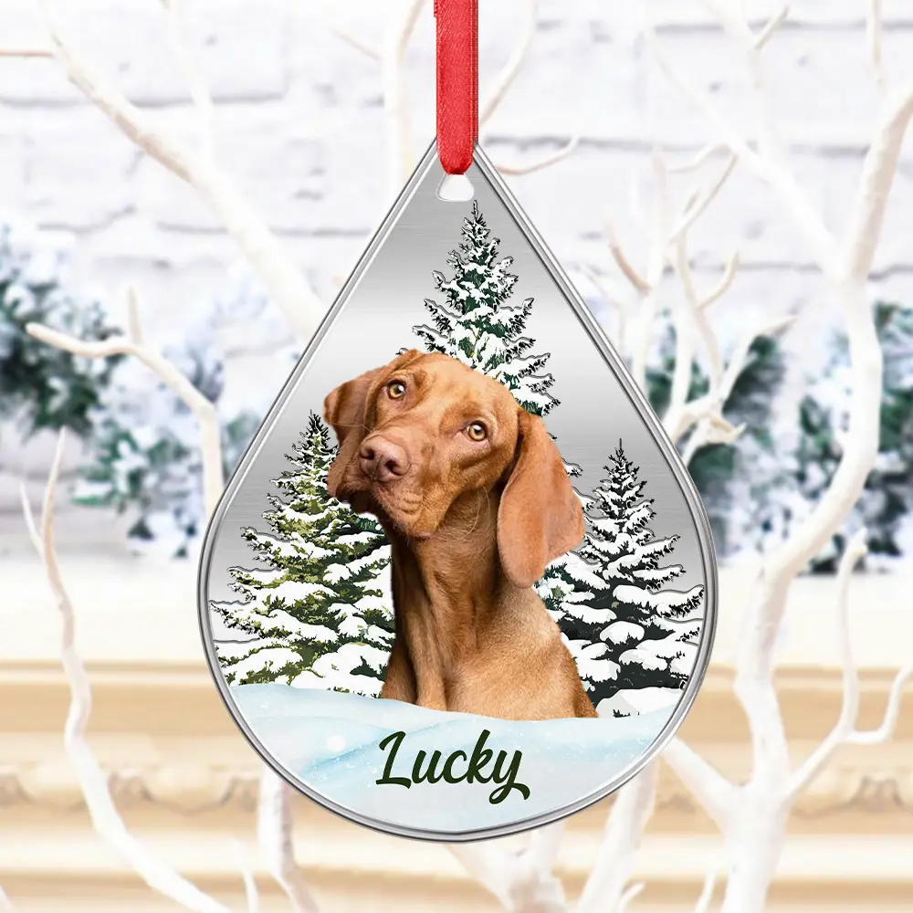 Custom Photo Dog Cat Face Pet Lover Memorial - Personalized Metal Ornament - Image 5
