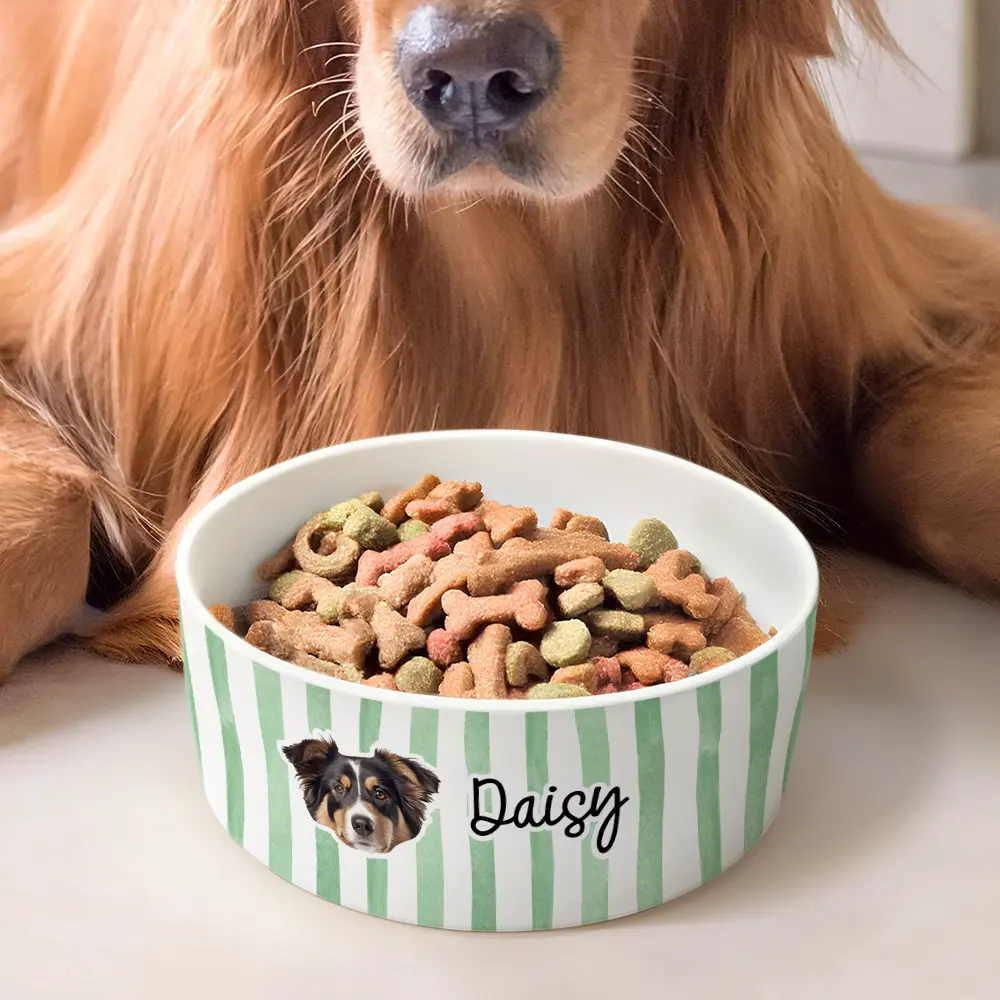 Custom Photo Dog Cat Face With Stripe Pattern - Personalized Pet Bowl - Image 3