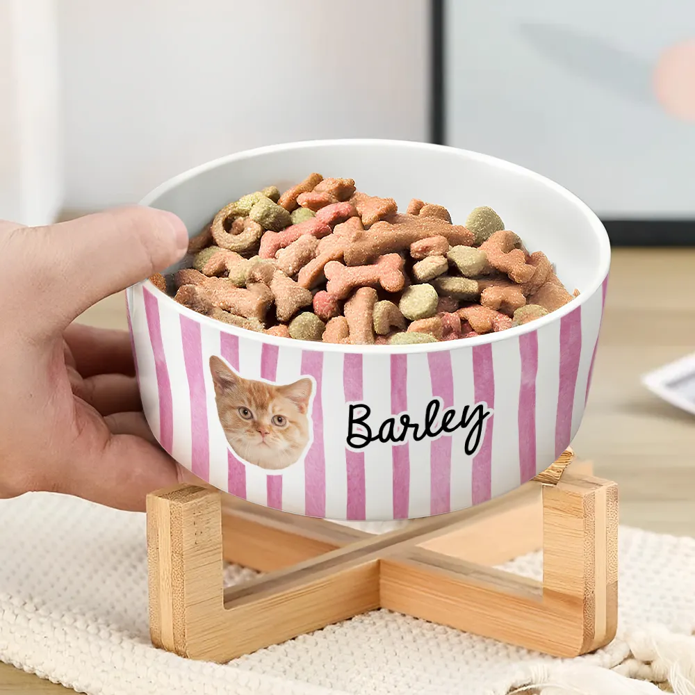 Custom Photo Dog Cat Face With Stripe Pattern - Personalized Pet Bowl - Image 4