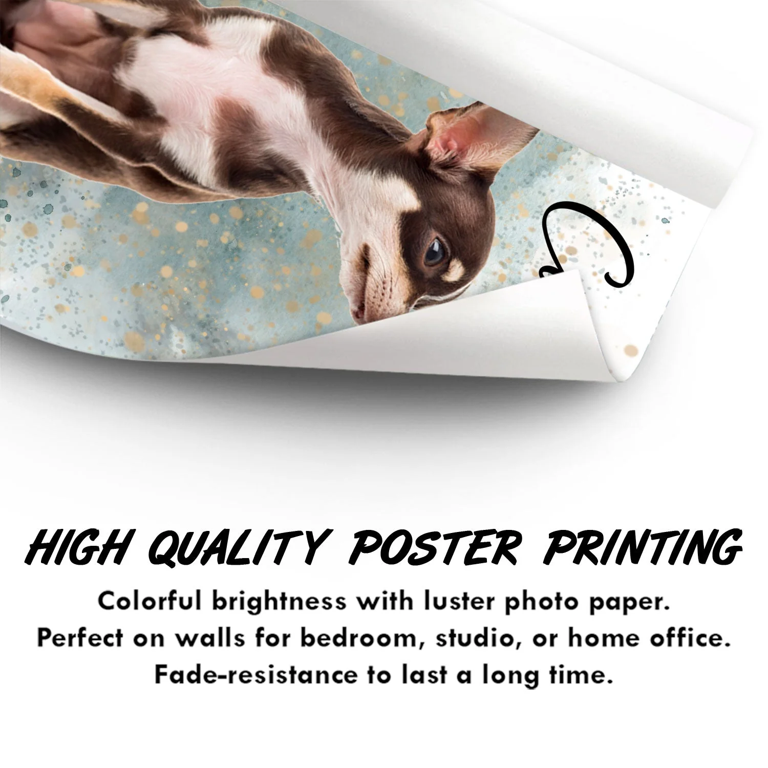 Custom Photo Dog Cat - Gift For Pet Lovers - Personalized Poster - Image 4