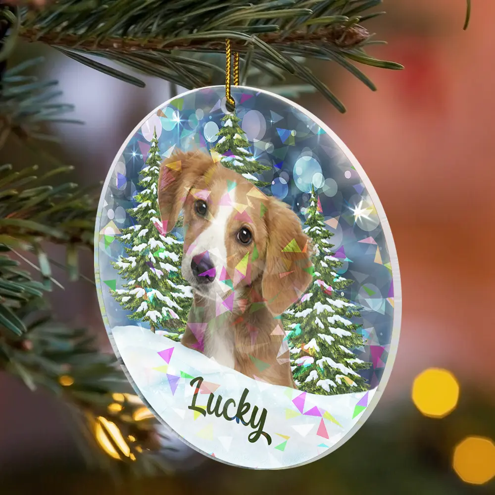 Custom Photo Dog Cat Pet Face - Personalized Holographic Acrylic Ornament - Image 3