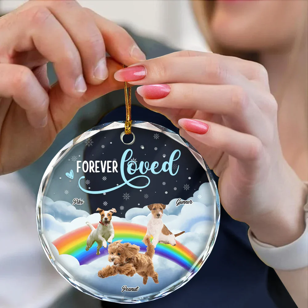 Custom Photo Forever Loved Ver 2 Pet Memorial - Personalized Circle Glass Ornament - Image 5