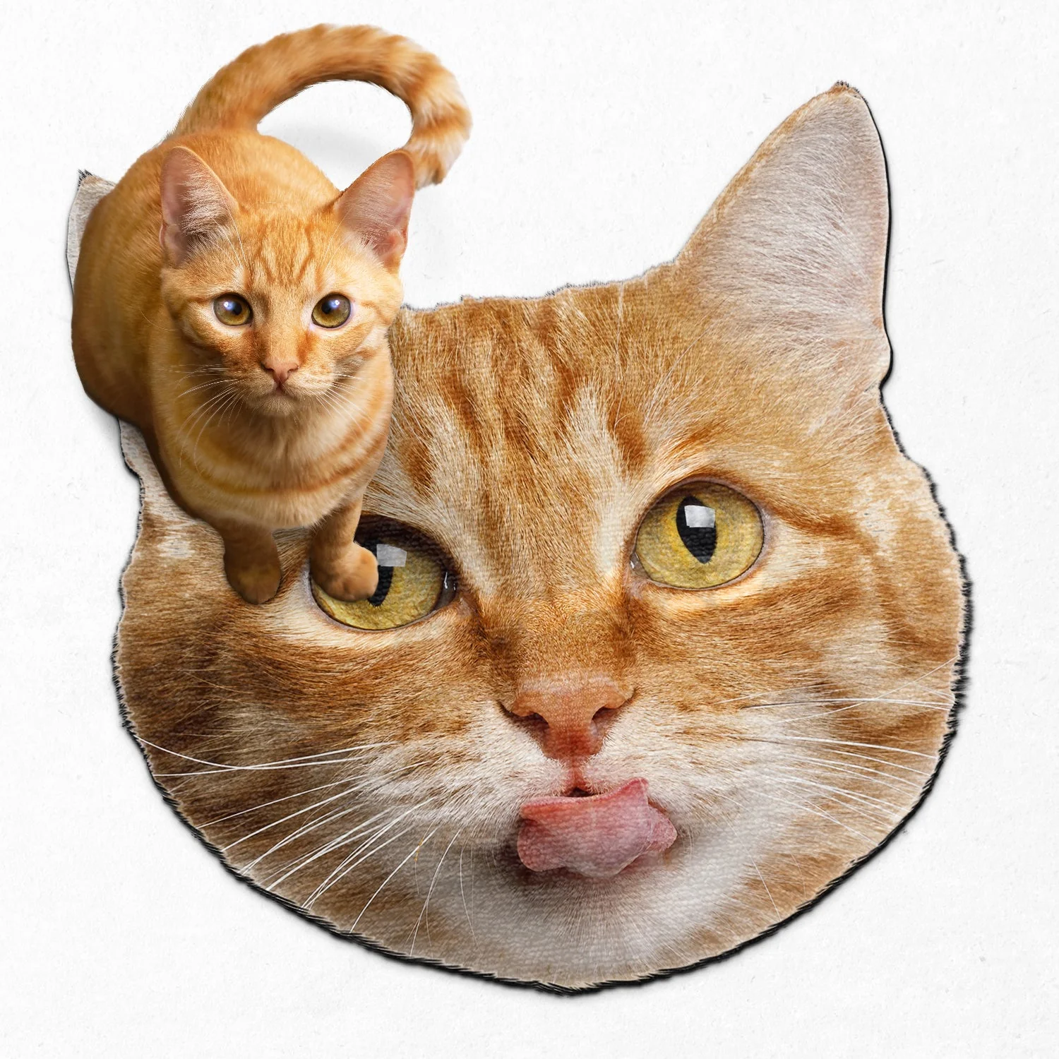 Custom Photo Funny Face Dog Cat - Home Decor For Pet Lovers - Personalized Custom Shaped Photo Doormat - Image 3
