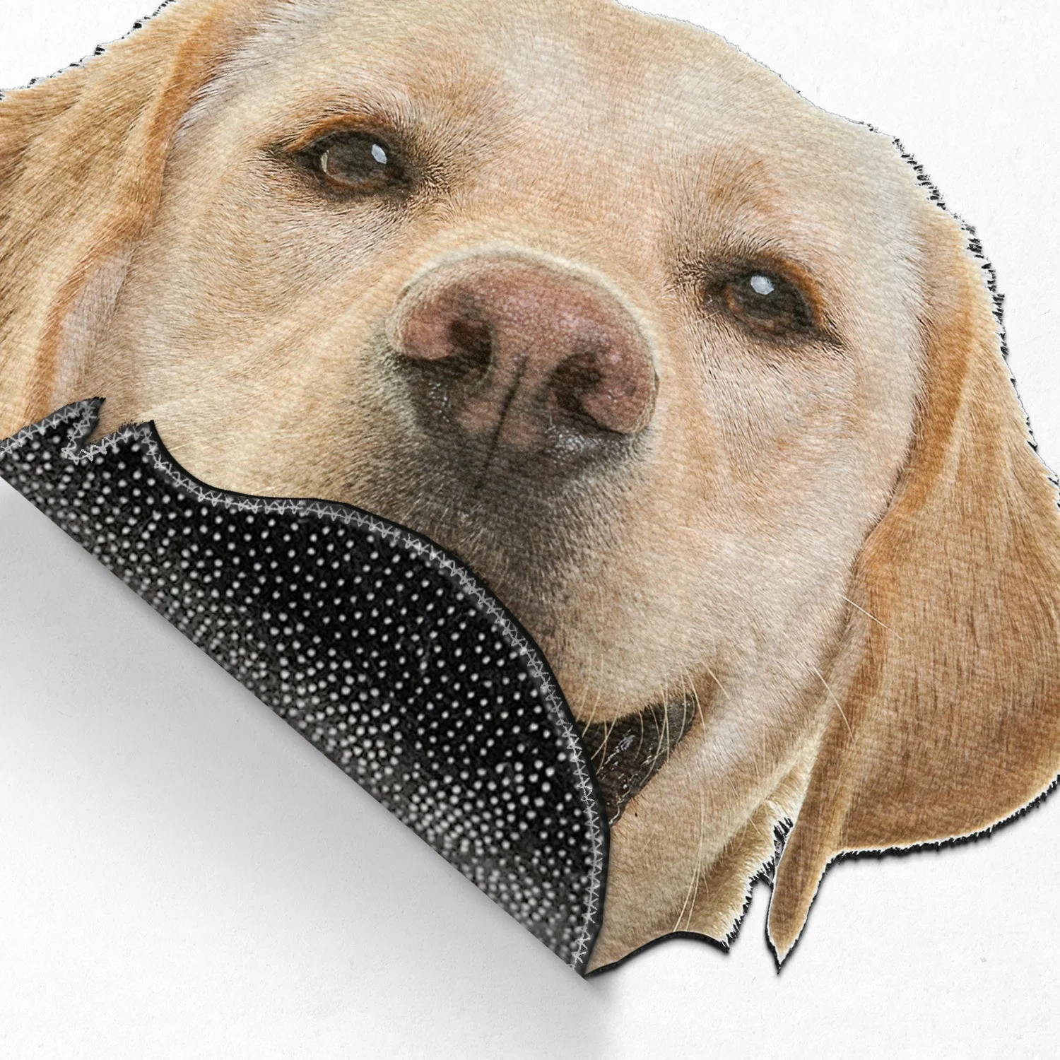 Custom Photo Funny Face Dog Cat - Home Decor For Pet Lovers - Personalized Custom Shaped Photo Doormat - Image 5