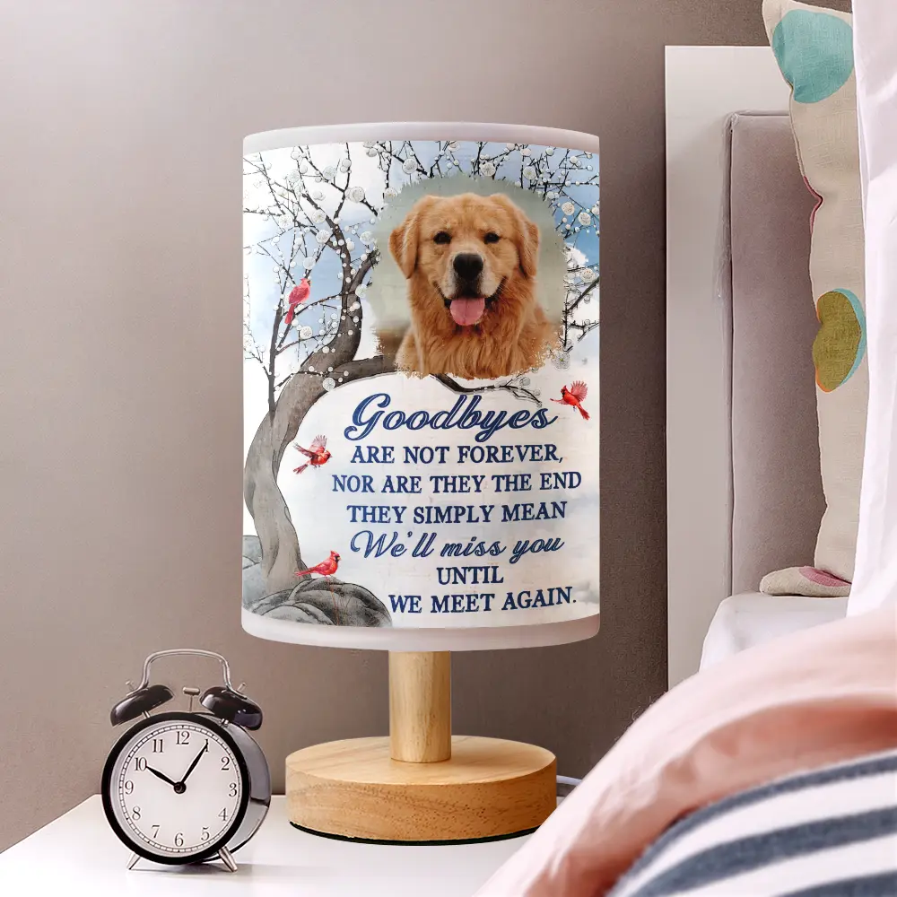 Custom Photo Goodbye Is Not Forever Memorial - Personalized Fabric Lamp - Image 2