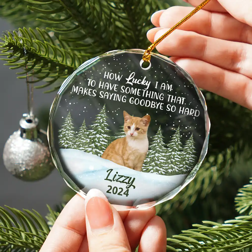 Custom Photo How Lucky I Am Memorial Dog Cat - Personalized Glass Ornament - Image 3