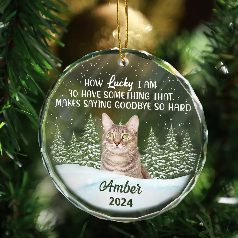 Custom Photo How Lucky I Am Memorial Dog Cat - Personalized Glass Ornament - Image 4