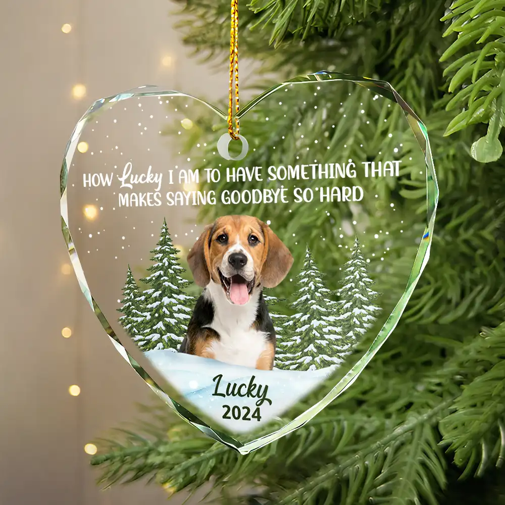 Custom Photo How Lucky I Am Memorial Dog Cat - Personalized Glass Ornament - Image 5