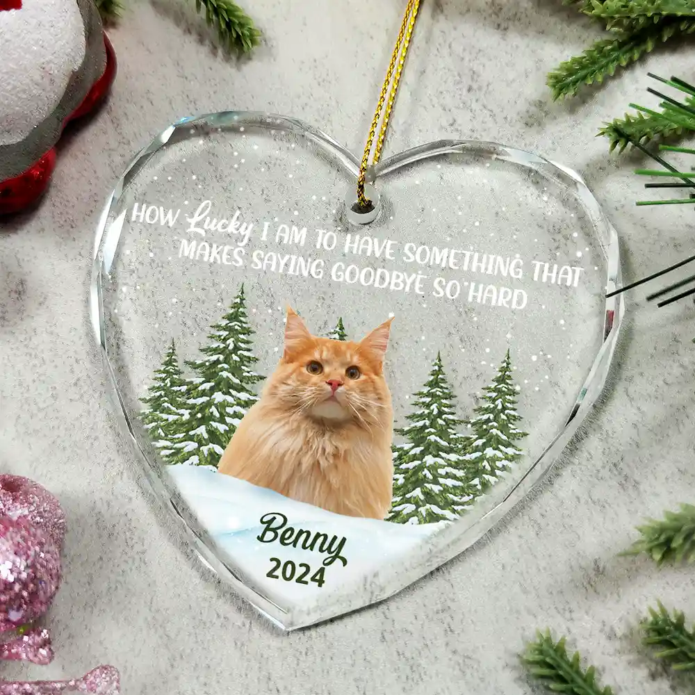 Custom Photo How Lucky I Am Memorial Dog Cat - Personalized Glass Ornament - Image 6