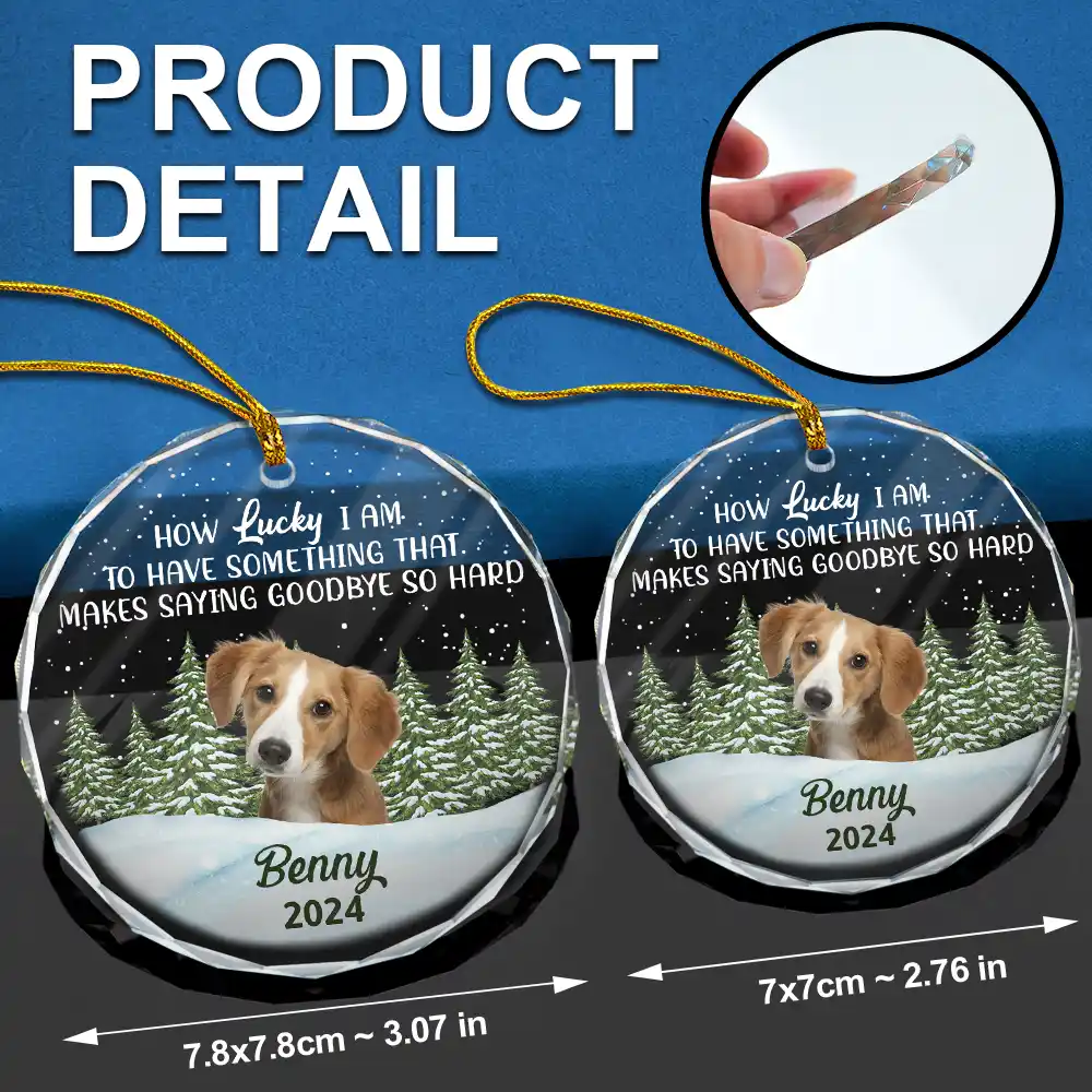 Custom Photo How Lucky I Am Memorial Dog Cat - Personalized Glass Ornament - Image 7