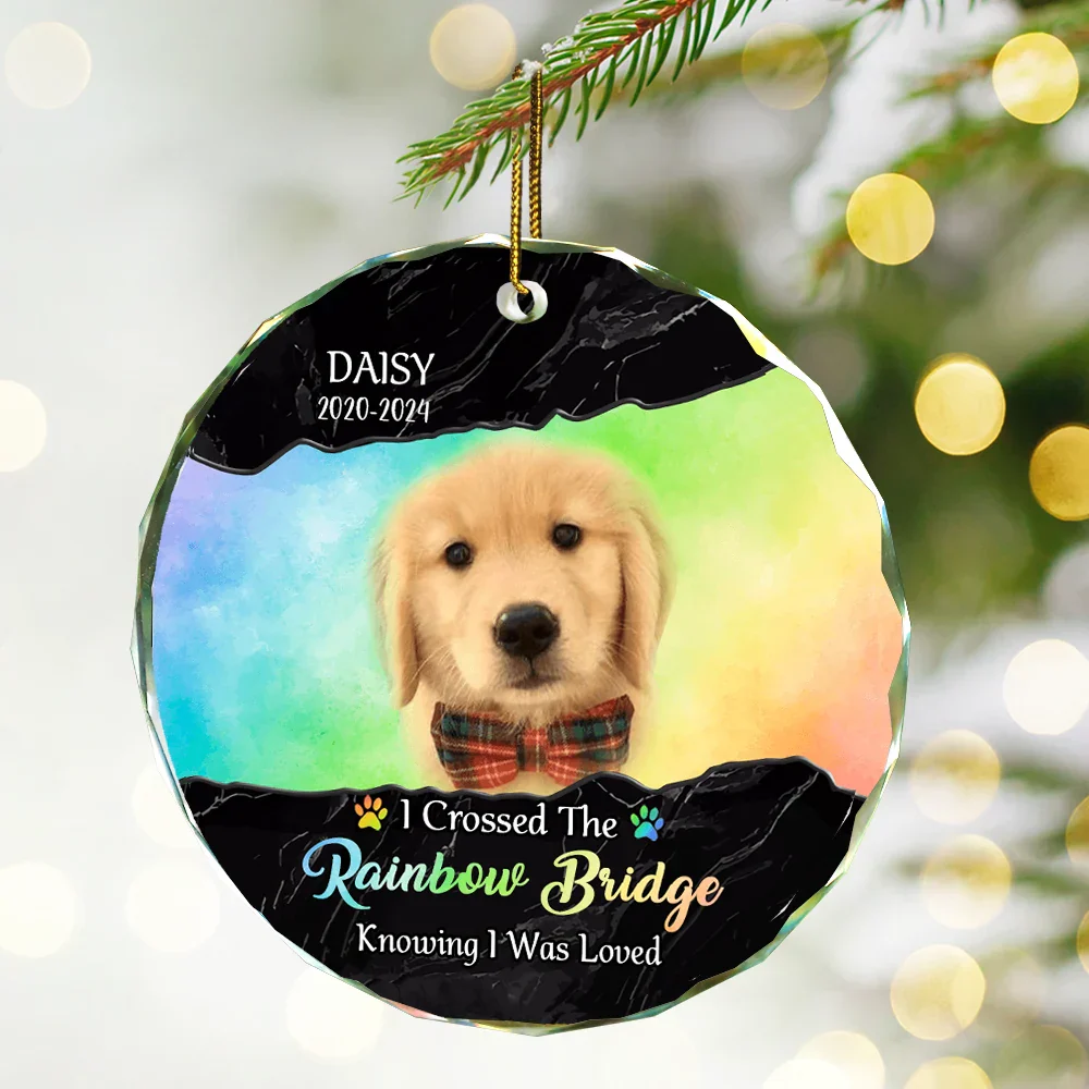 Custom Photo I Crossed The Rainbow Bridge Memorial - Personalized Circle Glass Ornament - Image 3