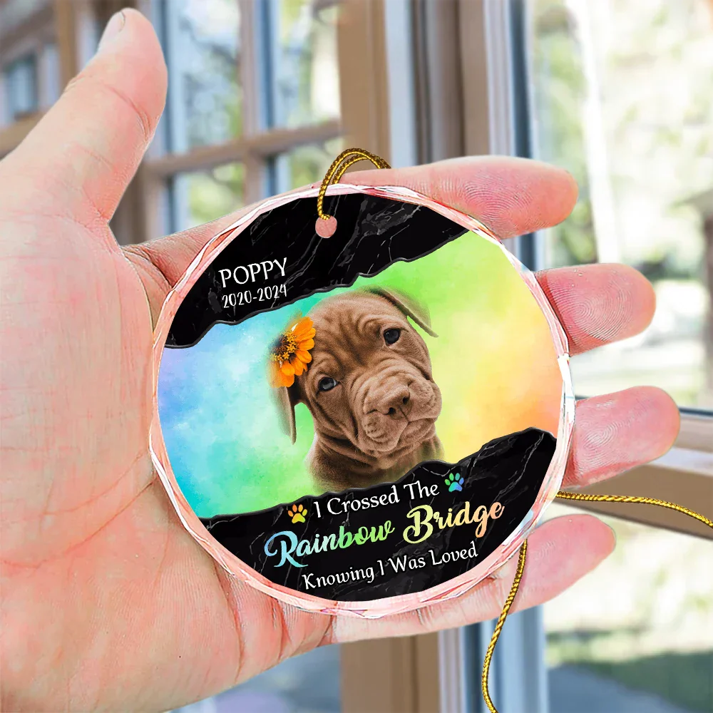 Custom Photo I Crossed The Rainbow Bridge Memorial - Personalized Circle Glass Ornament - Image 5