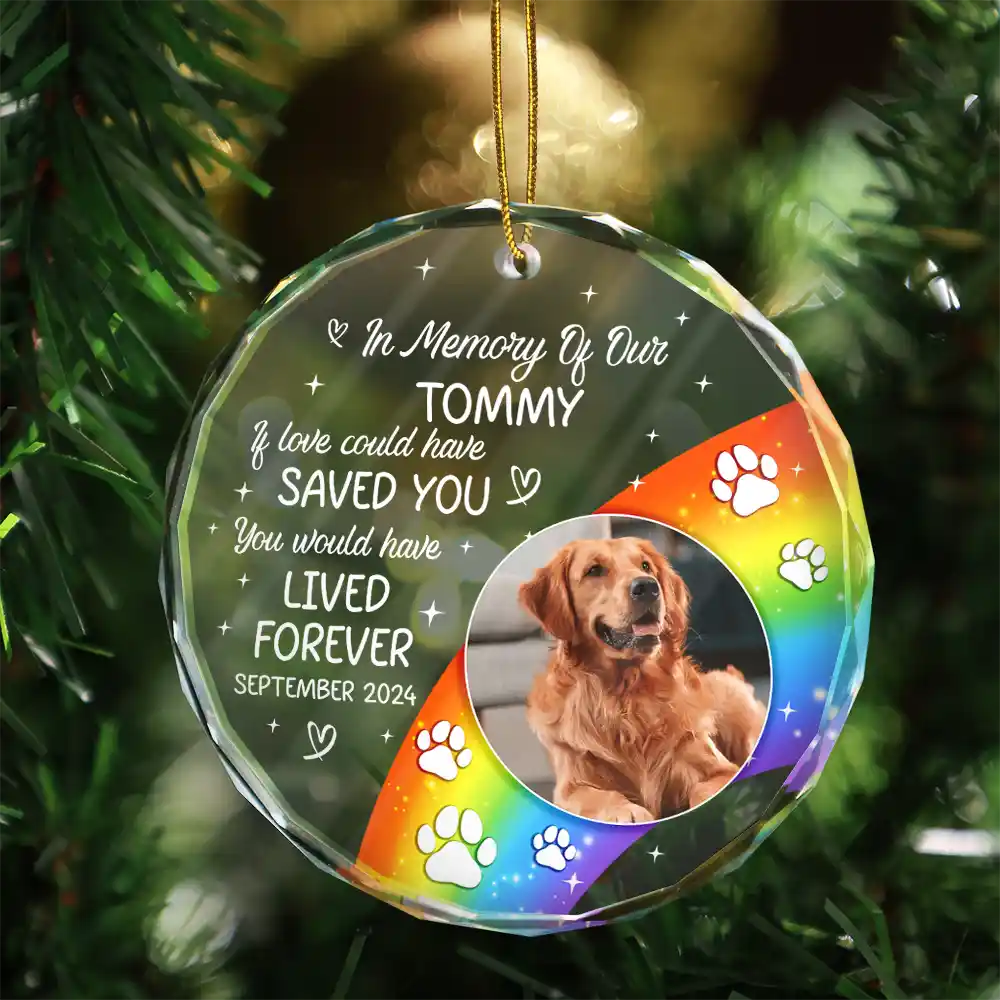 Custom Photo In Loving Memory Memorial Pet Lovers - Personalized Circle Glass Ornament - Image 3