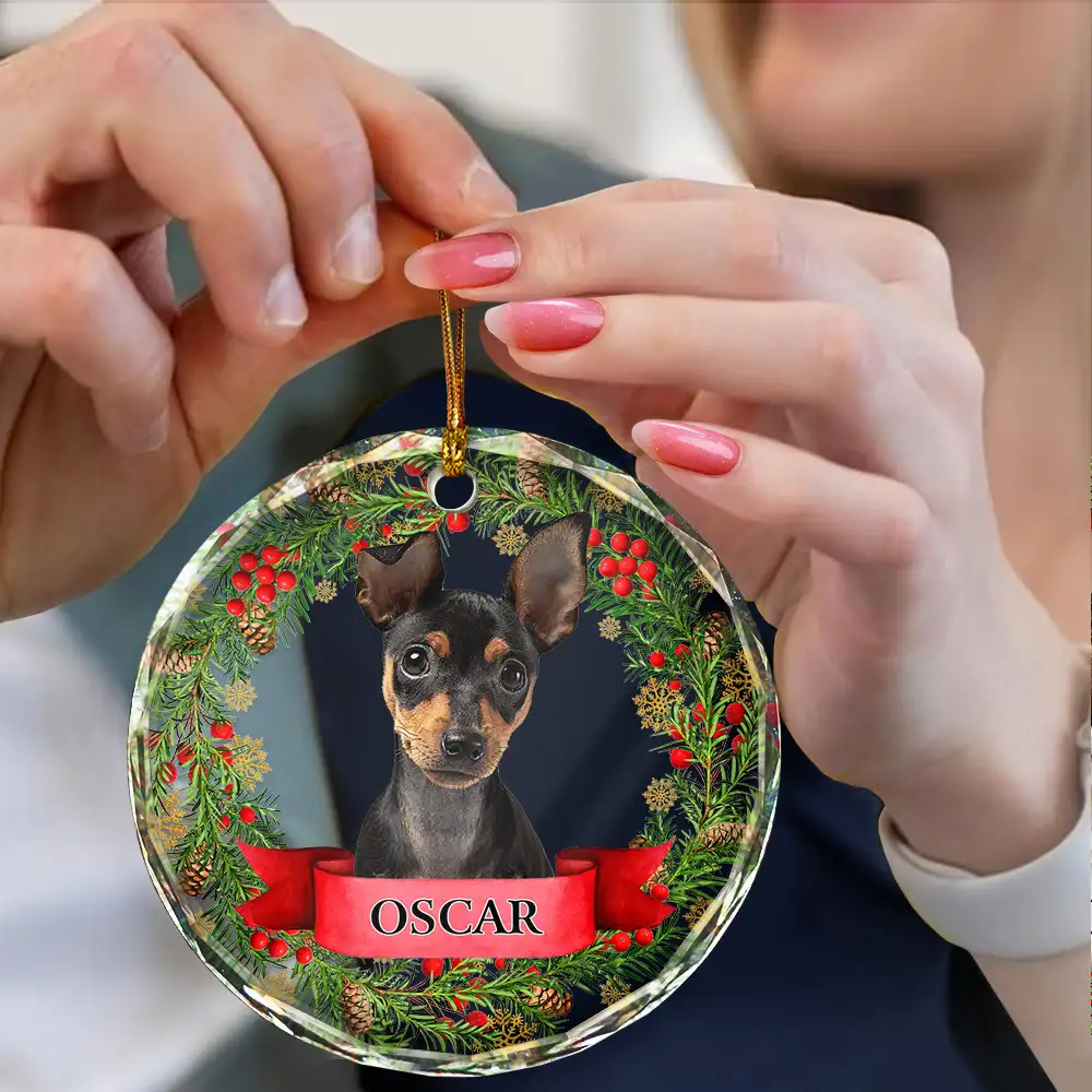 Custom Photo In Loving Memory Pet Memorial - Personalized Combo Circle Glass Ornament - Image 5