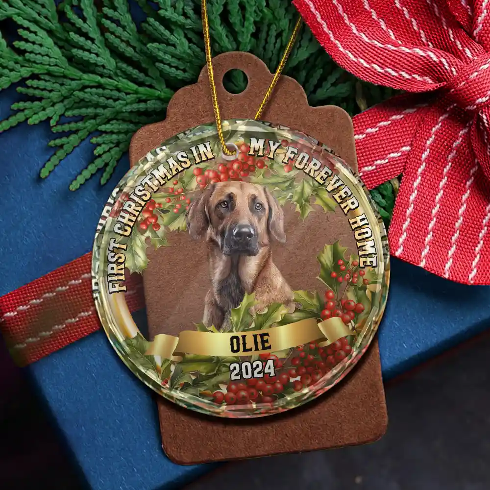 Custom Photo In My Forever Home - Personalized Circle Glass Ornament - Image 6