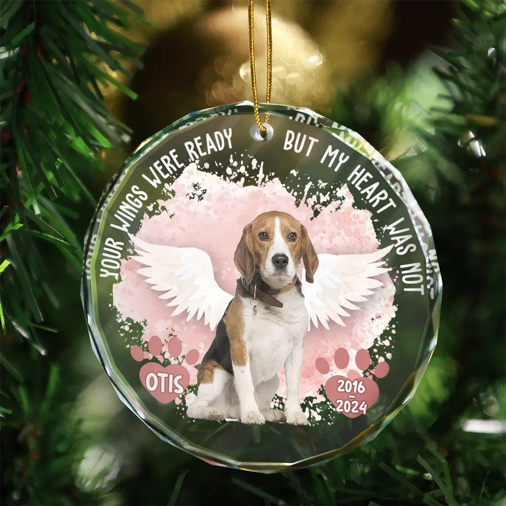 Custom Photo Memorial Dog Cat Favorite Hello & Hardest Goodbye - Personalized Circle Glass Ornament - Image 4