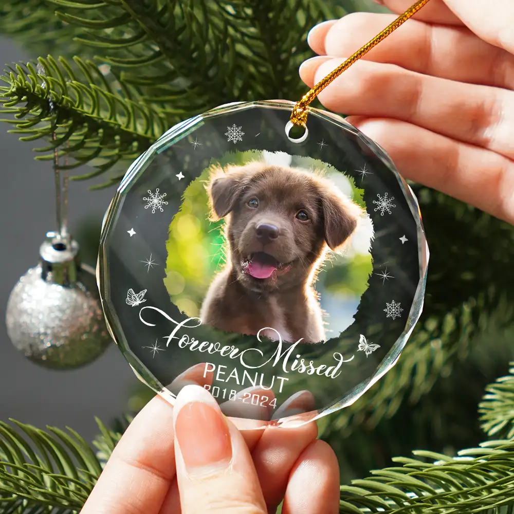 Custom Photo Memorial Dog Cat Loss Keepsake - Personalized Circle Glass Ornament - Image 2