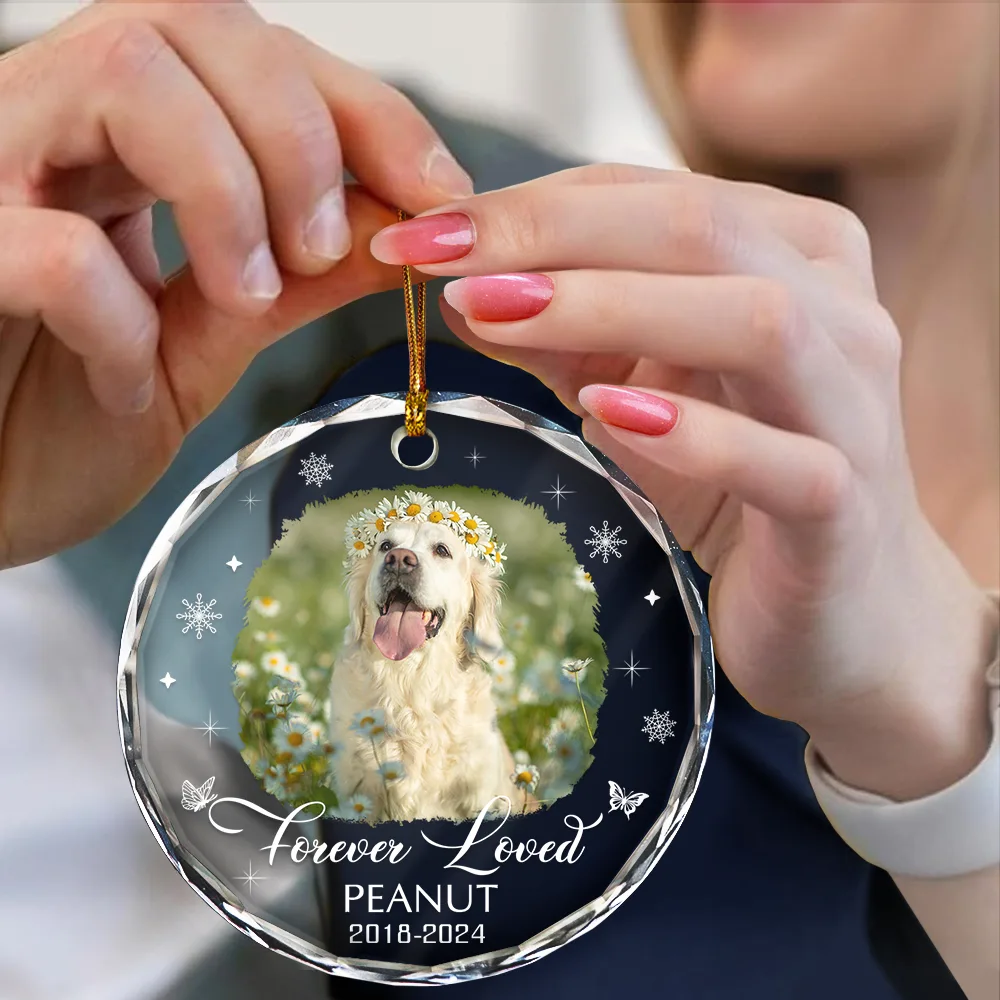 Custom Photo Memorial Dog Cat Loss Keepsake - Personalized Circle Glass Ornament - Image 4