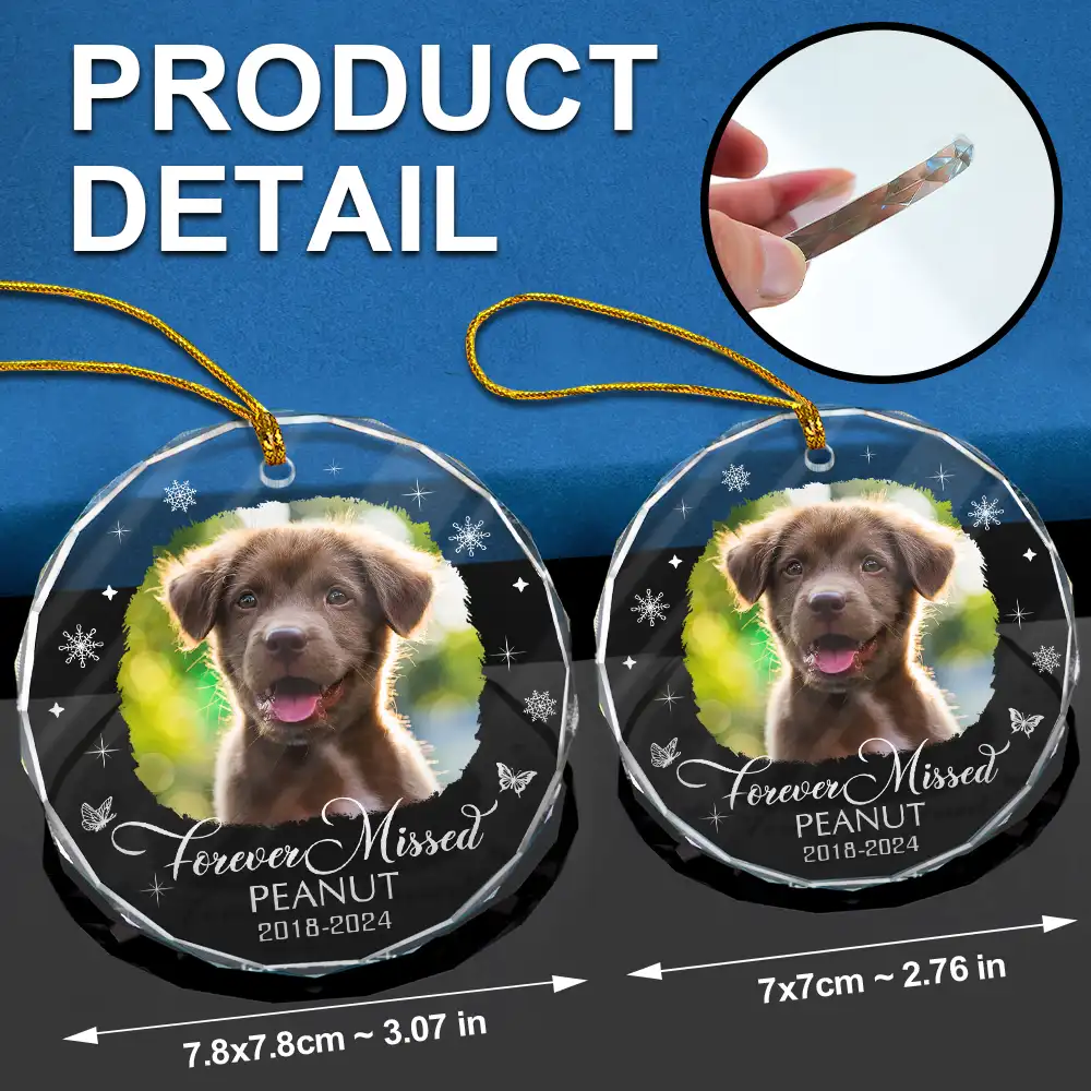Custom Photo Memorial Dog Cat Loss Keepsake - Personalized Circle Glass Ornament - Image 6