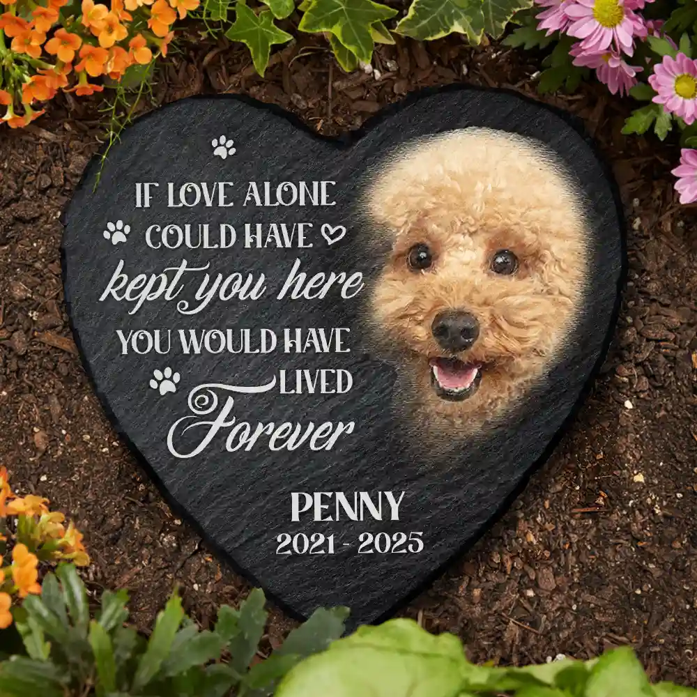 Custom Photo Memorial Dog Cat You Left A Paw Print - Personalized Heart Memorial Garden Stone - Image 4