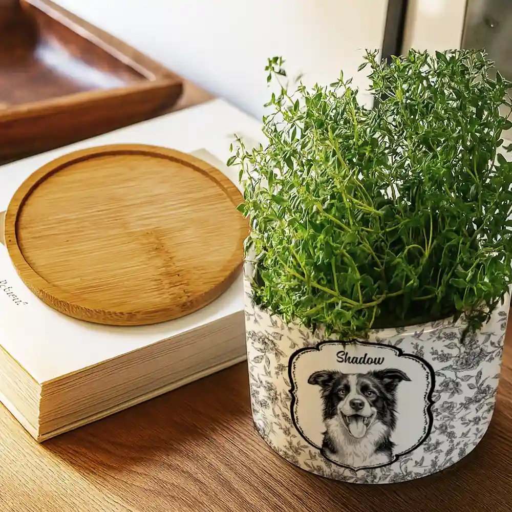 Custom Photo Pencil Sketch Dog Cat Pet Portrait Toile - Personalized Ceramic Plant Pot - Image 4
