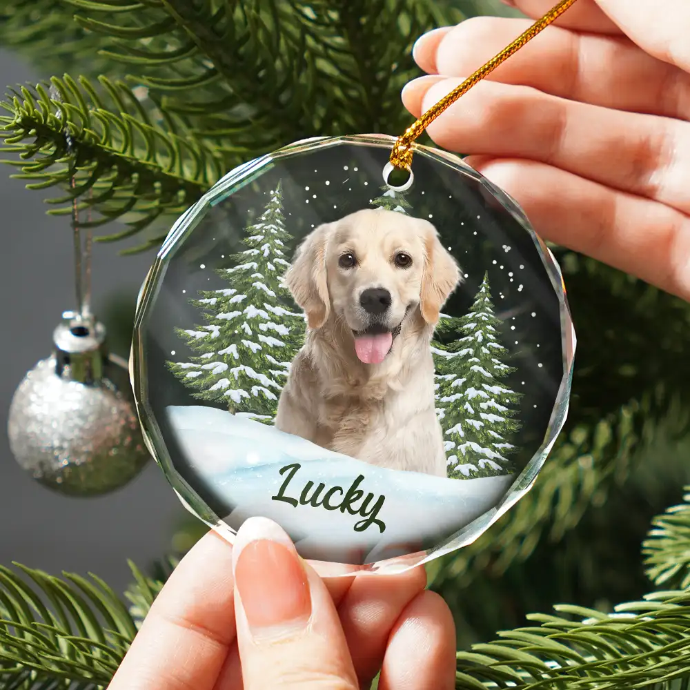 Custom Photo Pet Face - Christmas Gift For Dog Lovers, Cat Lovers, Pet Lovers, Pet Memorial - Personalized Circle Glass Ornament - Image 3