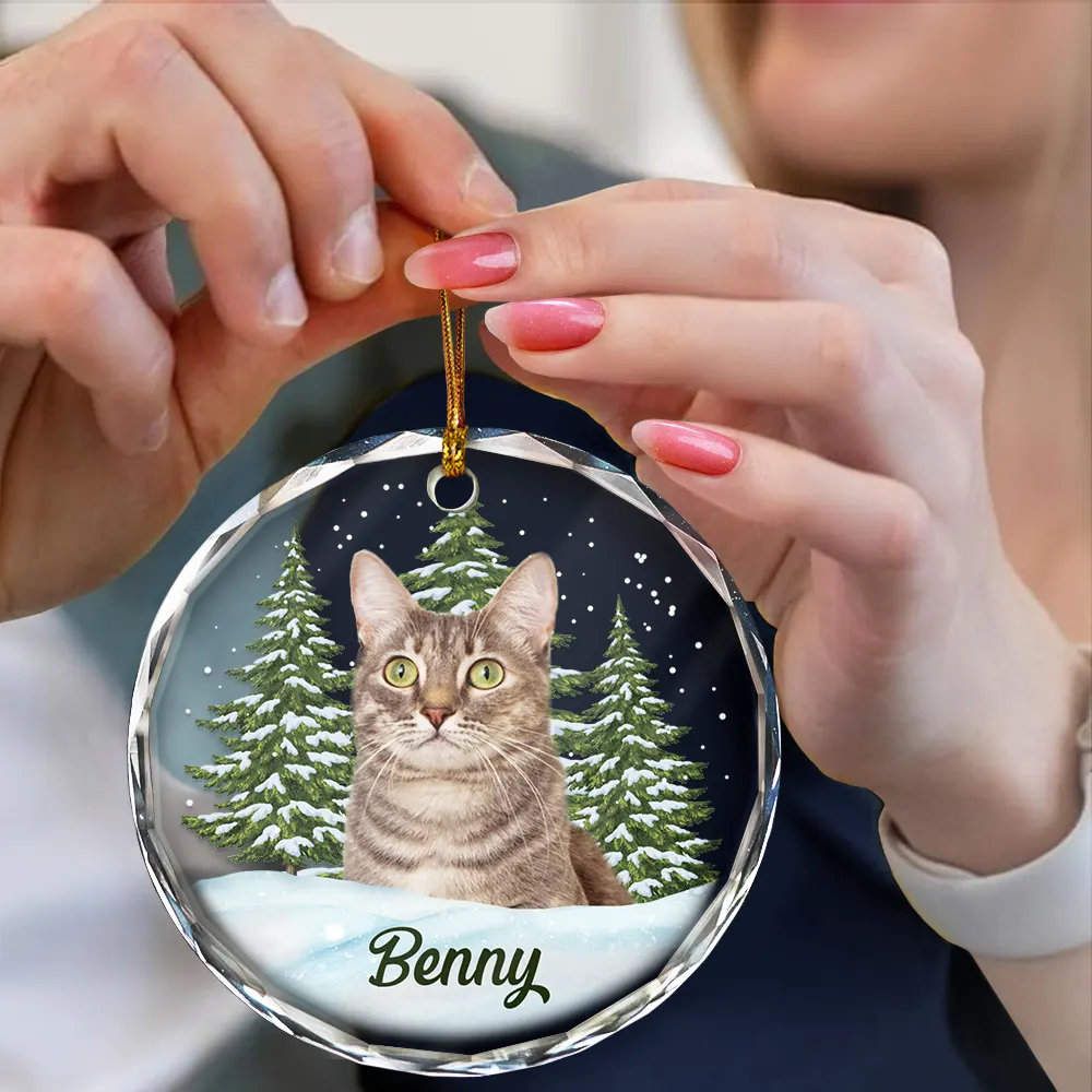 Custom Photo Pet Face - Christmas Gift For Dog Lovers, Cat Lovers, Pet Lovers, Pet Memorial - Personalized Circle Glass Ornament - Image 4