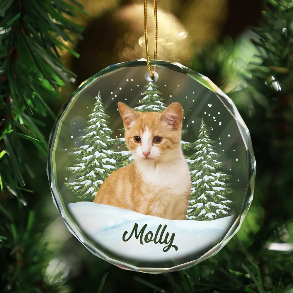 Custom Photo Pet Face - Christmas Gift For Dog Lovers, Cat Lovers, Pet Lovers, Pet Memorial - Personalized Circle Glass Ornament - Image 5