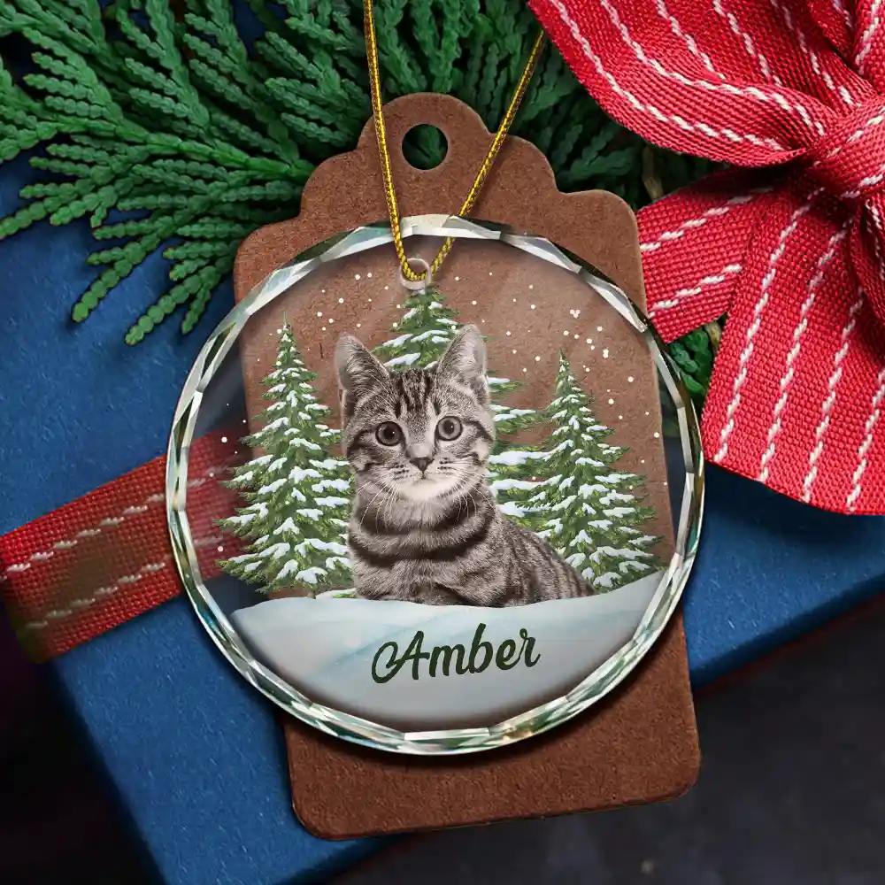 Custom Photo Pet Face - Christmas Gift For Dog Lovers, Cat Lovers, Pet Lovers, Pet Memorial - Personalized Circle Glass Ornament - Image 6