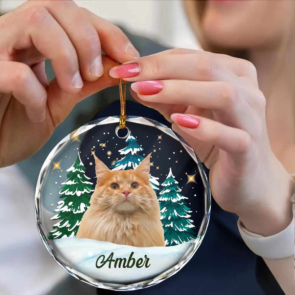 Custom Photo Pet Face Christmas Trees - Personalized Combo Circle Glass Ornament - Image 5