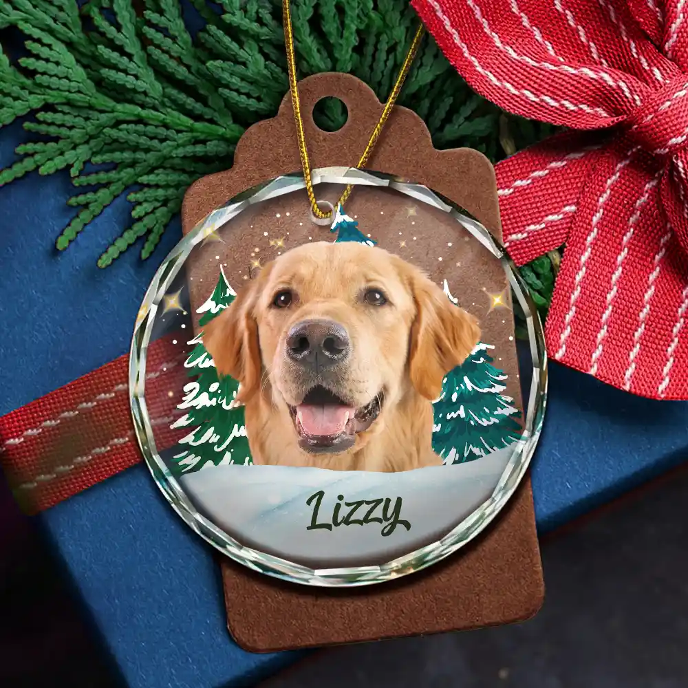 Custom Photo Pet Face Christmas Trees - Personalized Combo Circle Glass Ornament - Image 6