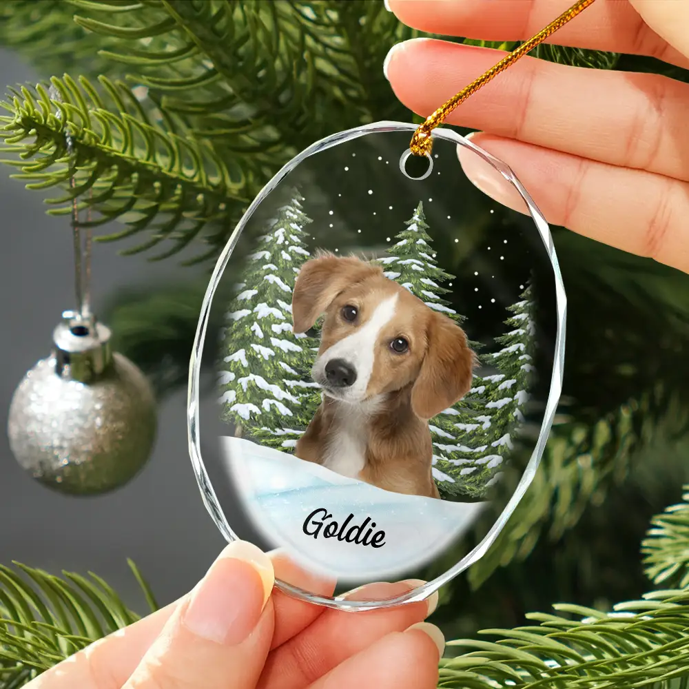 Custom Photo Pet Face Dog Cat Memorial - Personalized Oval Glass Ornament - Image 4