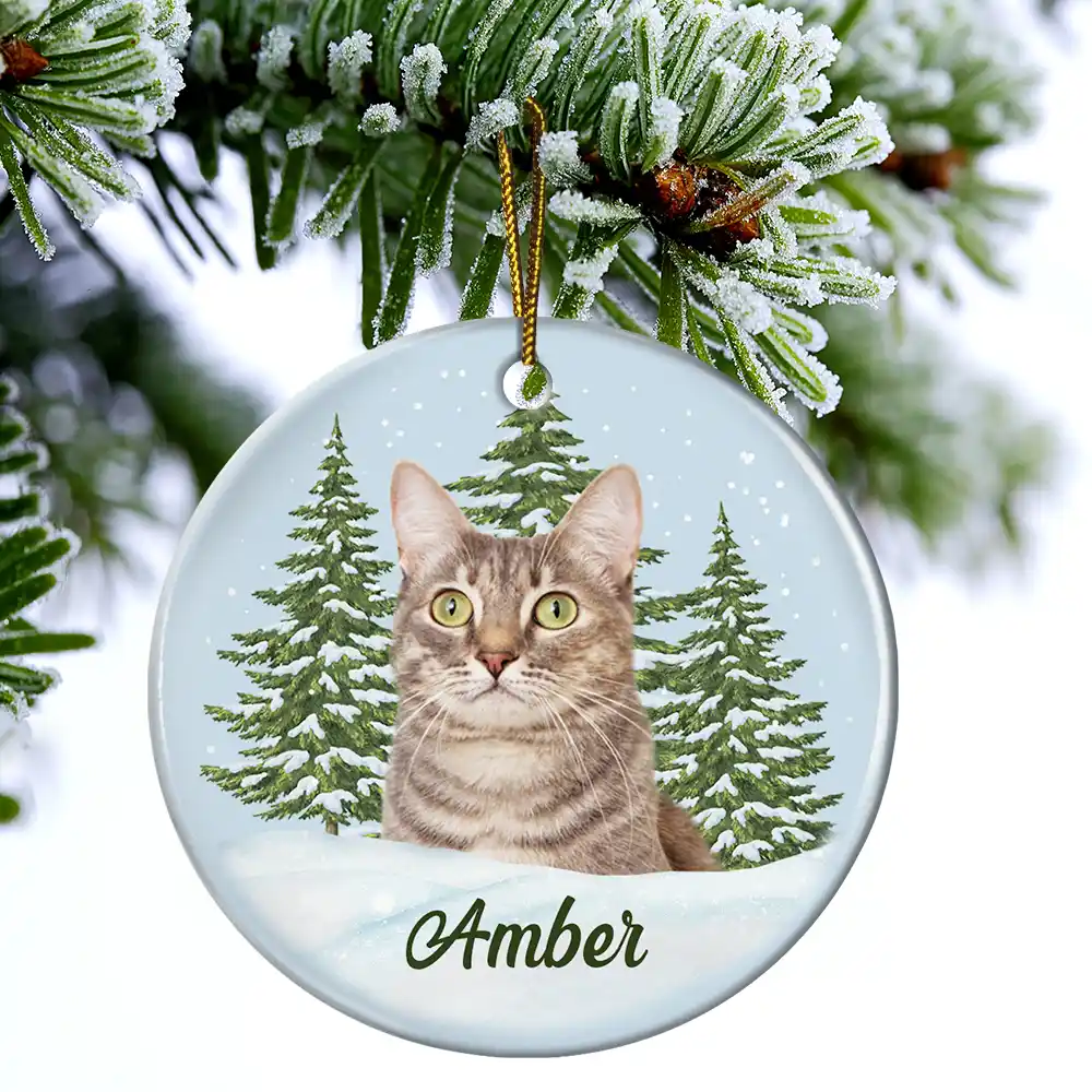Custom Photo Pet Face Memorial - Personalized Circle Ceramic Ornament - Image 5