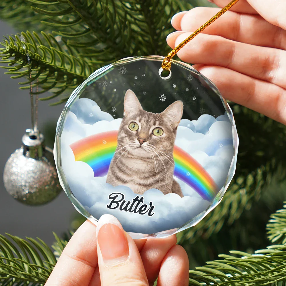 Custom Photo Pet Face Rainbow Bridge - Personalized Circle Glass Ornament - Image 3