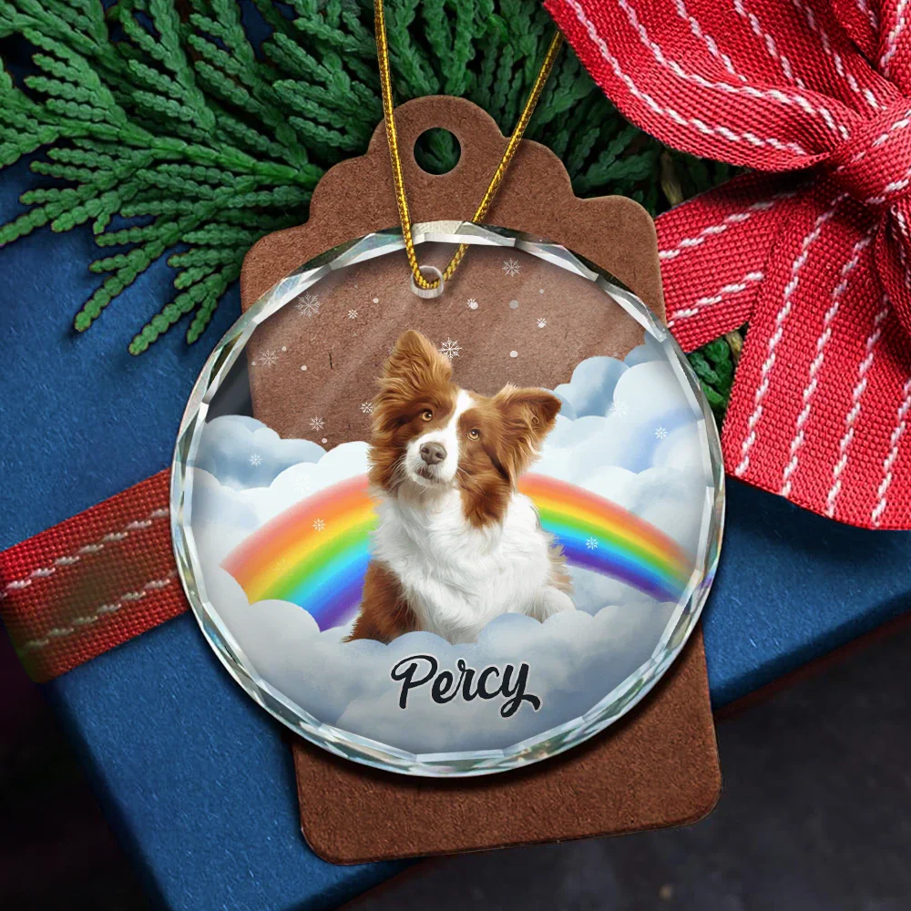 Custom Photo Pet Face Rainbow Bridge - Personalized Circle Glass Ornament - Image 6